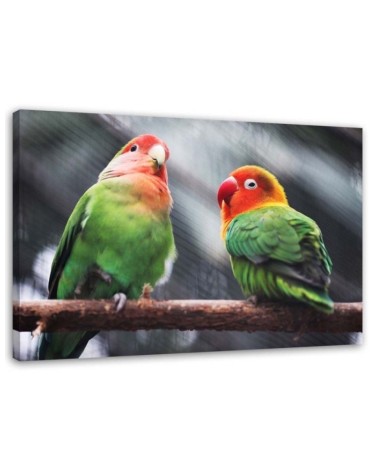 Bild auf Leinwand - Bunte Papageien | Feeby