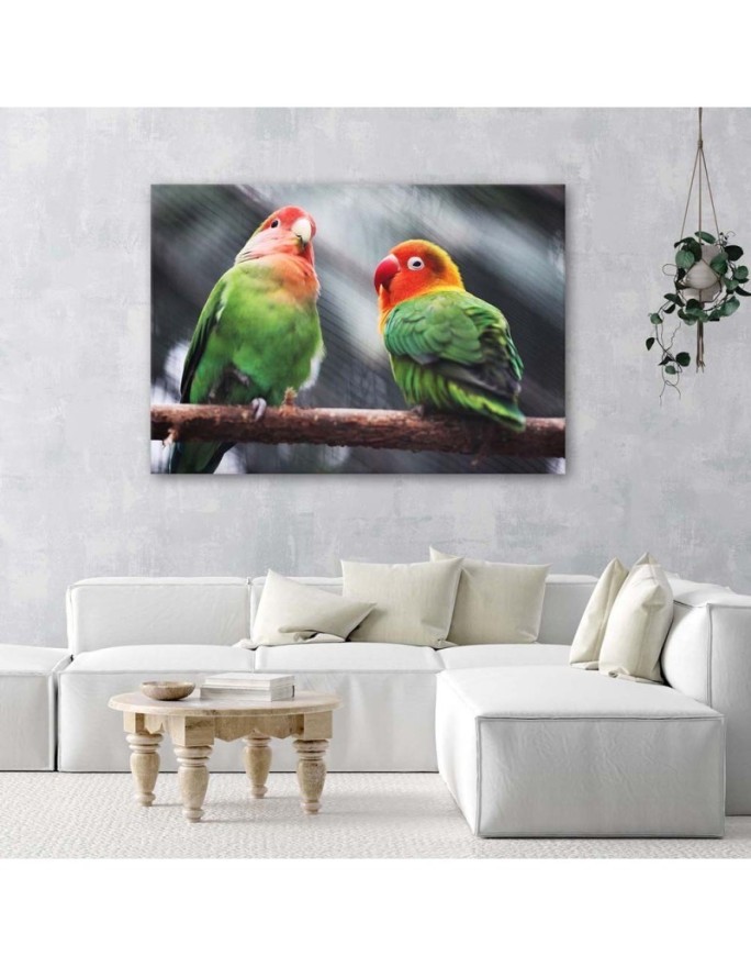 Kolorowe papugi - Obraz na płótnie canvas | FEEBY