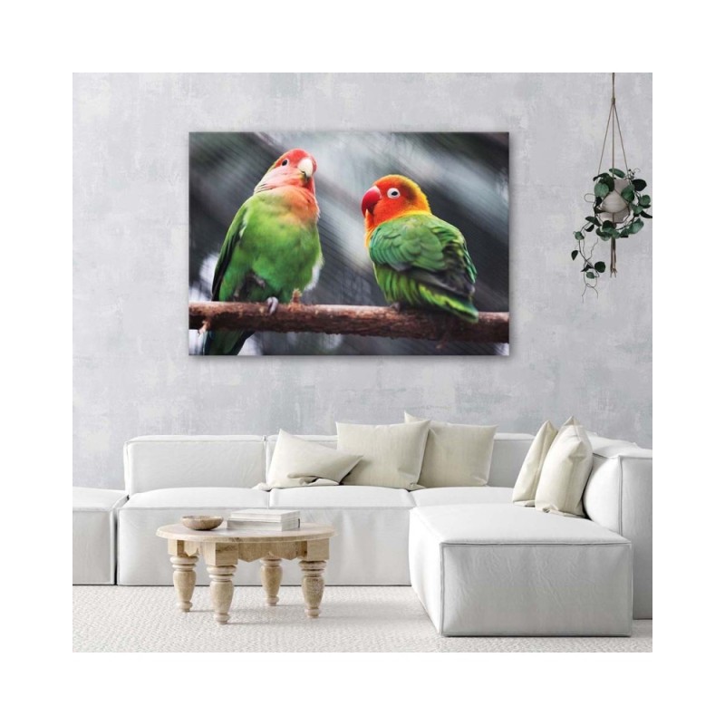Bild auf Leinwand - Bunte Papageien | Feeby