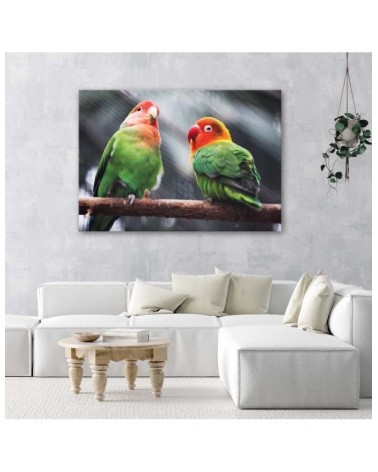 Bild auf Leinwand - Bunte Papageien | Feeby