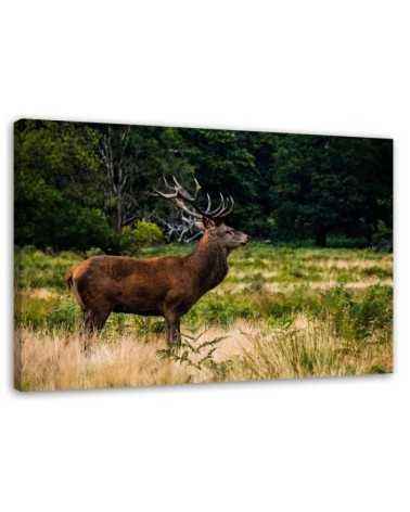 Living room decoration - Deer on a roar - Modern painting | FEEBY