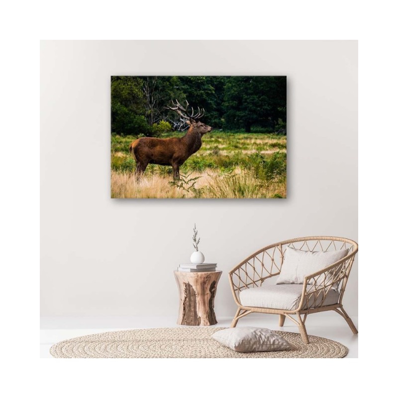 Modernes Wandbild - Hirsche röhren | Feeby