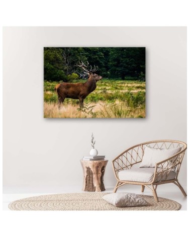 Modernes Wandbild - Hirsche röhren | Feeby