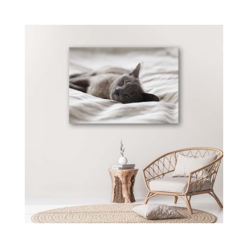 Bild auf Leinwand - Schlafende Katze | Feeby
