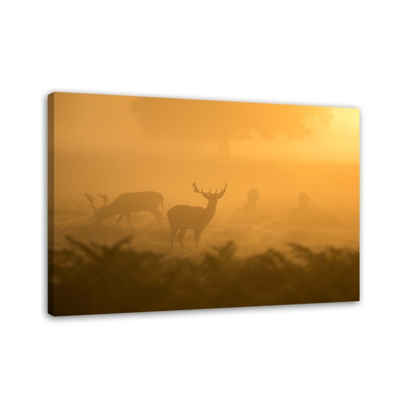 Leinwandbild - Rotwildherde in der Morgendämmerung | Feeby