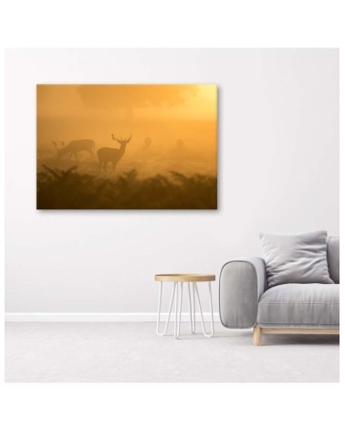 Leinwandbild - Rotwildherde in der Morgendämmerung | Feeby