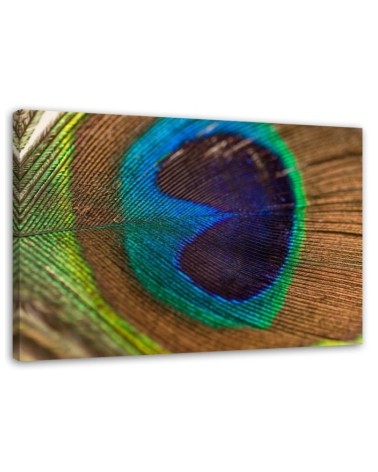 Peacock eye - Canvas painting for bedroom | FEEBY