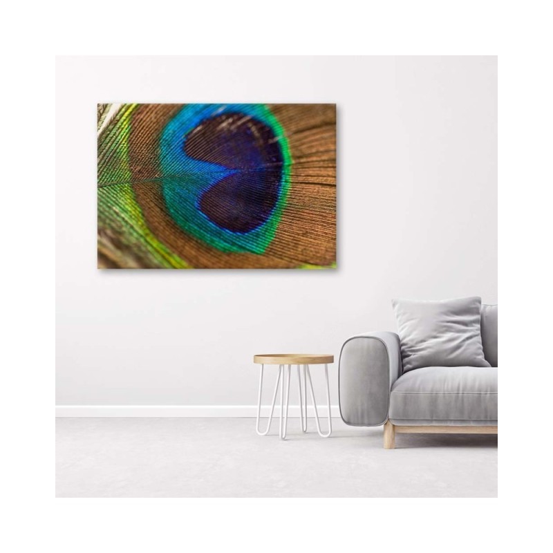 Leinwandbild - Das Auge des Pfaus | Feeby