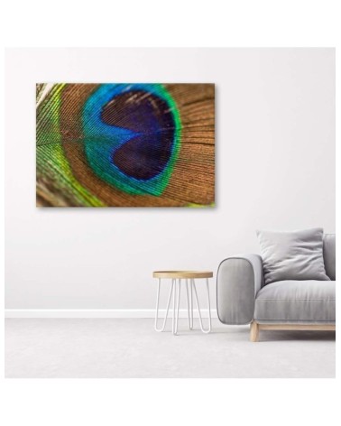 Leinwandbild - Das Auge des Pfaus | Feeby