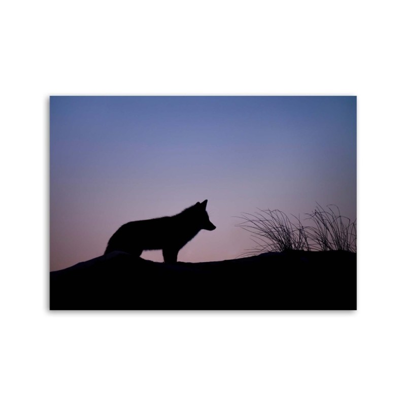 Dekoratives Leinwandbild - Jagd im Morgengrauen | Feeby