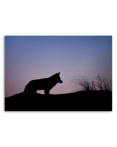 Dekoratives Leinwandbild - Jagd im Morgengrauen | Feeby