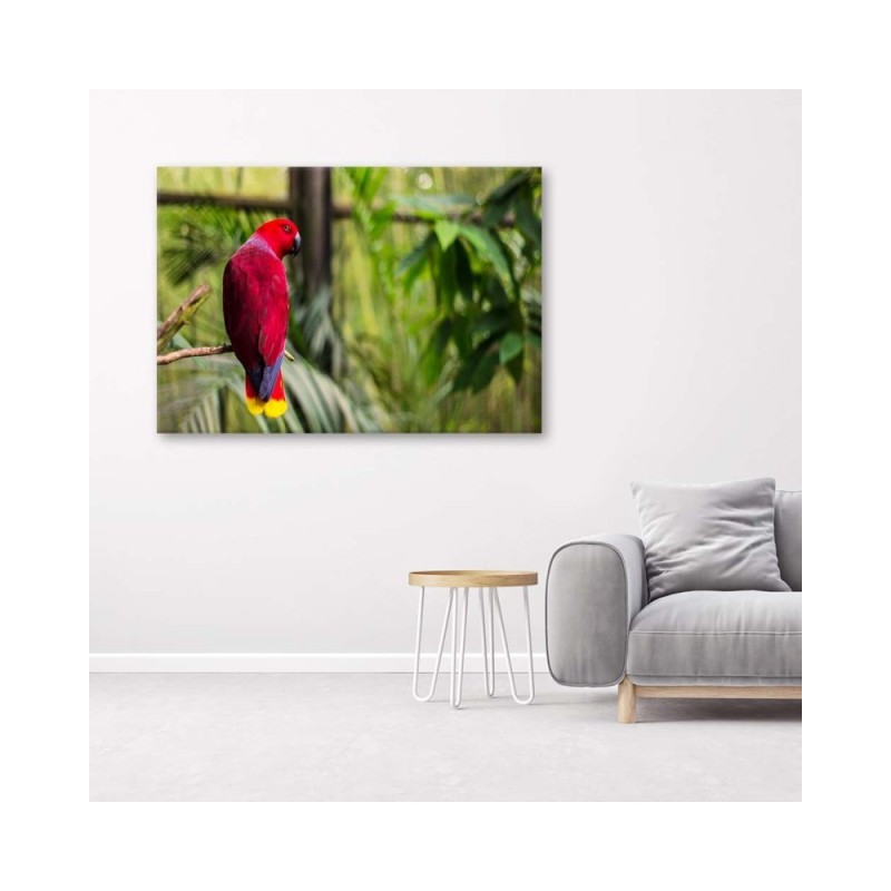Leinwandbild - Paradies-Papagei | Feeby