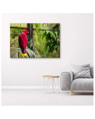 Leinwandbild - Paradies-Papagei | Feeby