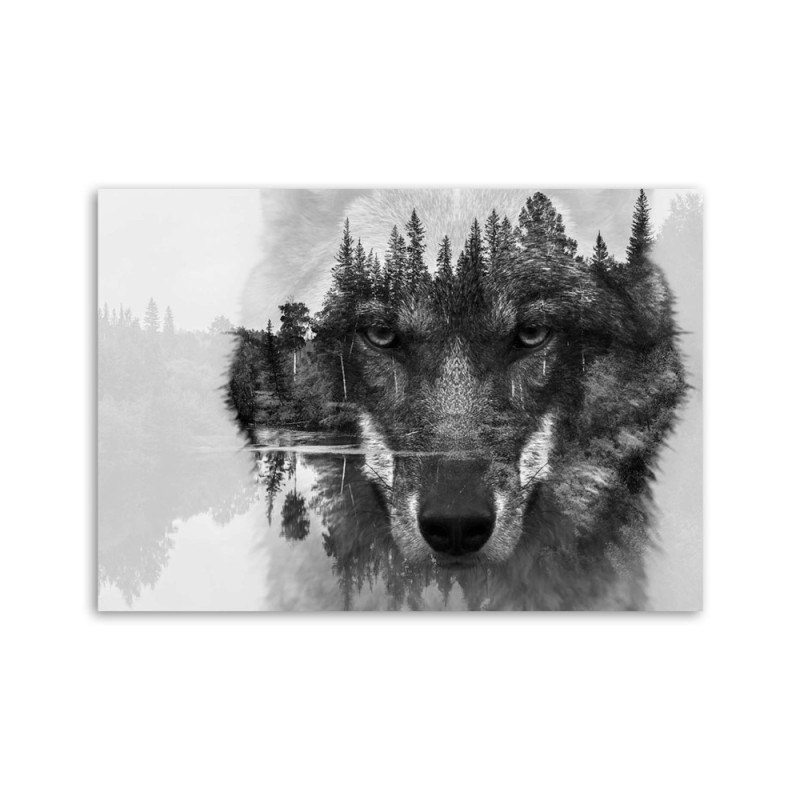 Bild - Schwarzer Wolf auf Wald und See Hintergrund abstrakt | Feeby