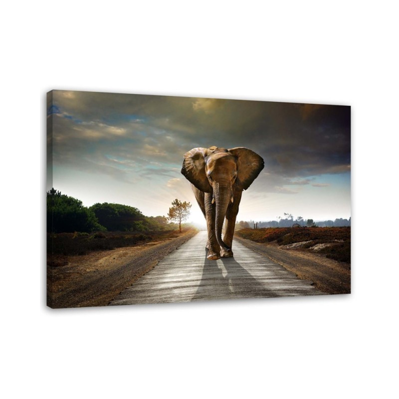 Bild auf Leinwand - Wandernder Elefant | Feeby