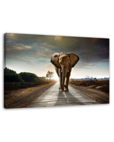 Canvas prints for living room - Elephant on the road - Wall decoration | FEEBY