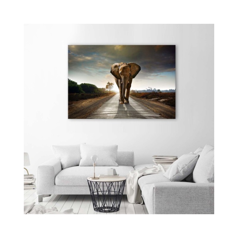 Bild auf Leinwand - Wandernder Elefant | Feeby