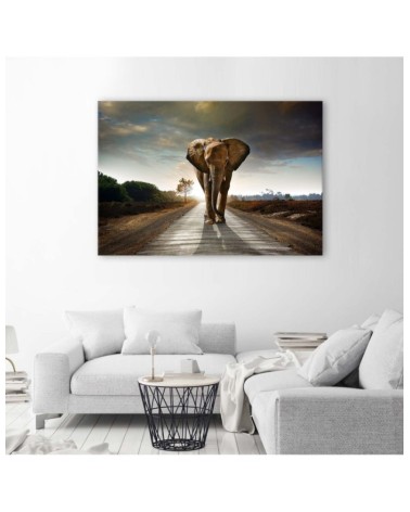 Bild auf Leinwand - Wandernder Elefant | Feeby