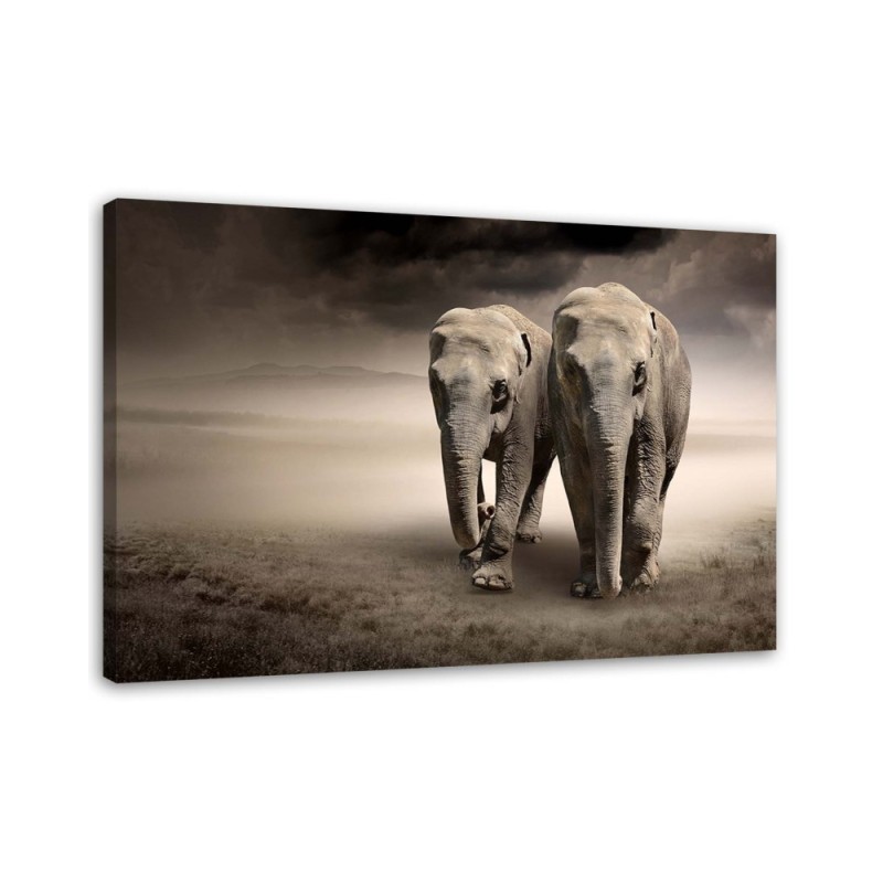Leinwandbild - Elefant in der Wüste | Feeby
