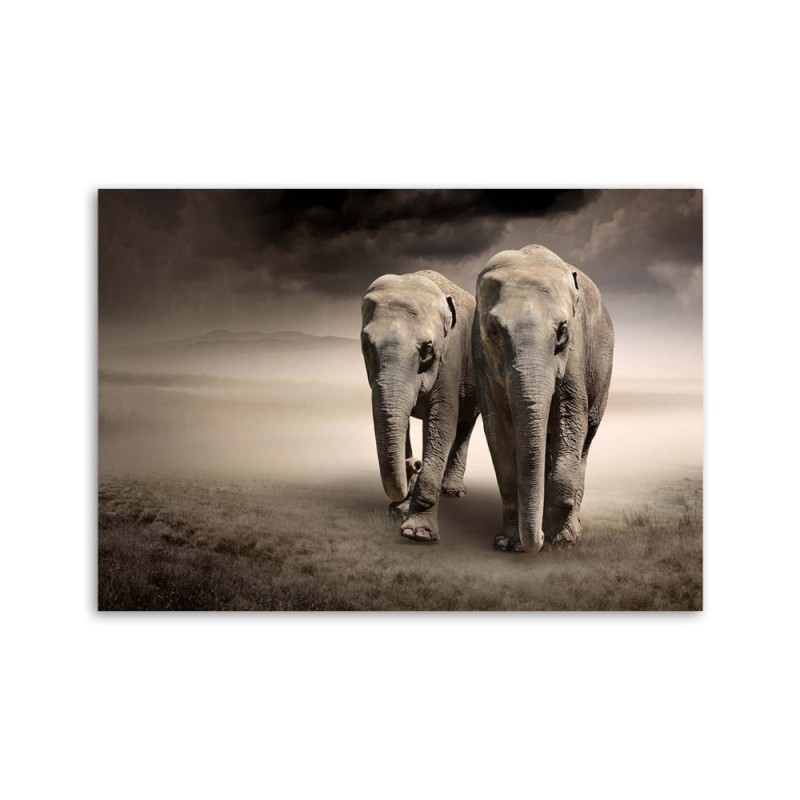 Leinwandbild - Elefant in der Wüste | Feeby