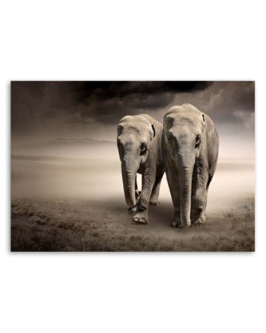 Leinwandbild - Elefant in der Wüste | Feeby