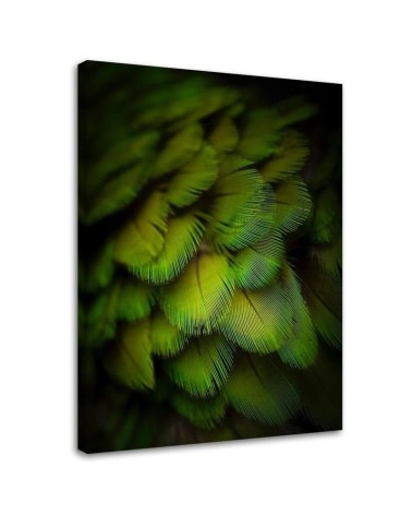 Leinwandbild modern - Dekorative grüne Federn | Feeby