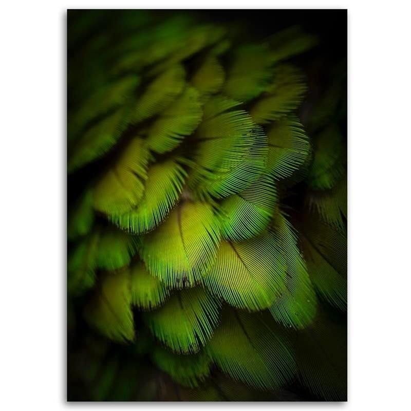 Leinwandbild modern - Dekorative grüne Federn | Feeby