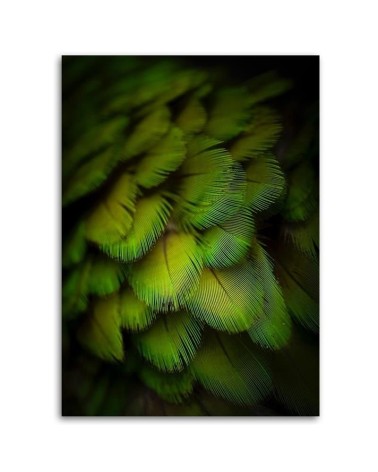 Leinwandbild modern - Dekorative grüne Federn | Feeby