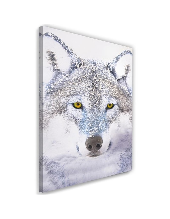 Modernes Wandbild - Weißer Wolf im Schnee | Feeby