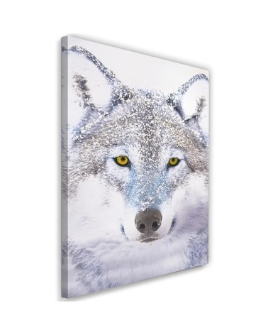 Modernes Wandbild - Weißer Wolf im Schnee | Feeby