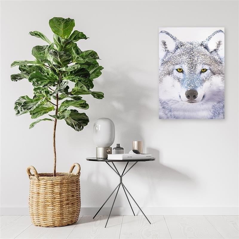 Modernes Wandbild - Weißer Wolf im Schnee | Feeby