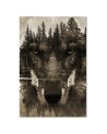 Dekoracja na ścianę - Czarny wilk abstrakcja sepia | FEEBY