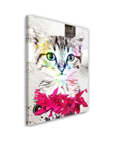 Abstract colourful cat - Wall art decoration for living room | FEEBY