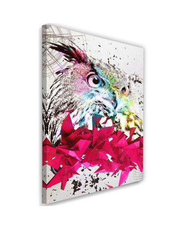 Leinwandbild - Abstrakte Eule und Formen | Feeby