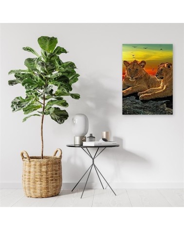 Bild auf Leinwand - Löwen in der Savanne | Feeby