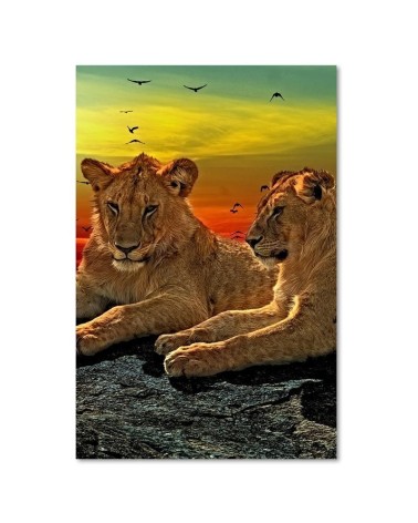 Bild auf Leinwand - Löwen in der Savanne | Feeby