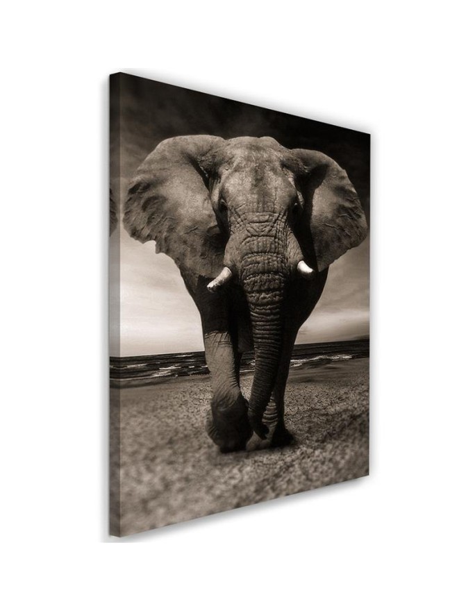 Decoration for the living room - Black and white elephant on the savannah | FEEBY