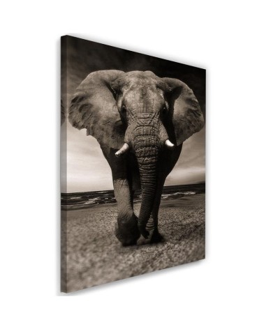 Decoration for the living room - Black and white elephant on the savannah | FEEBY