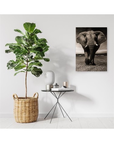 Wandbild für Wohnzimmer - XXL-Elefant in der Savanne | Feeby