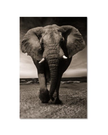 Wandbild für Wohnzimmer - XXL-Elefant in der Savanne | Feeby