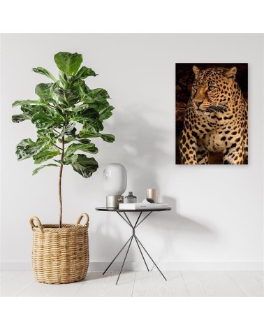 Bild - Fotografie eines Leoparden auf schwarzem Hintergrund | Feeby