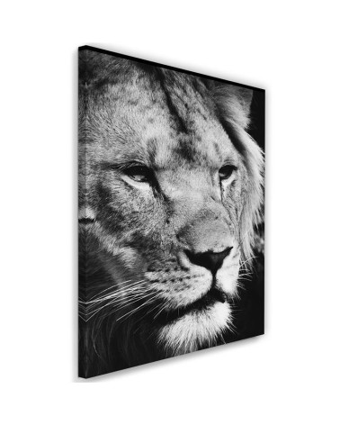 Dekoratives Leinwandbild - Schwarzer und weißer Löwe | Feeby