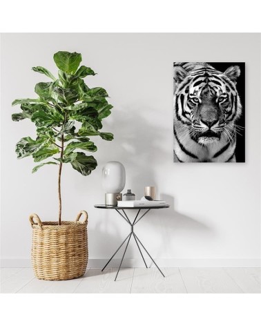 Leinwandbild - Schwarzer und weißer Tiger | Feeby
