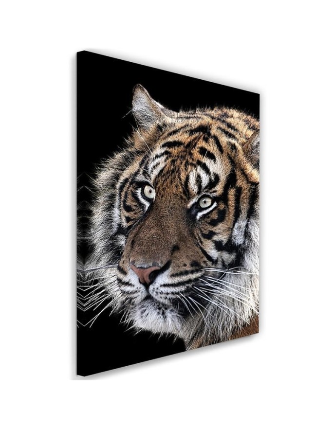 Modernes Wandbild - Tiger auf schwarzem Hintergrund | Feeby