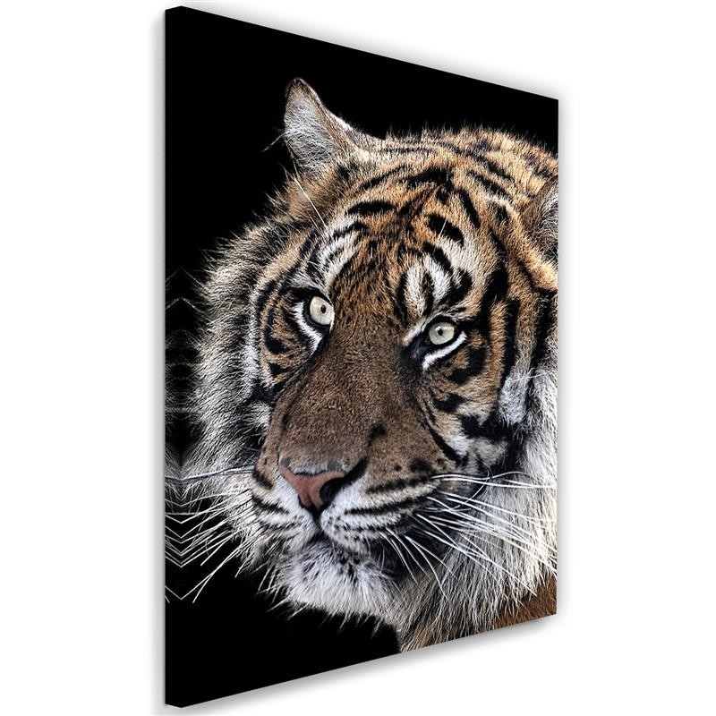Modernes Wandbild - Tiger auf schwarzem Hintergrund | Feeby