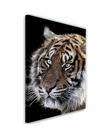 Modernes Wandbild - Tiger auf schwarzem Hintergrund | Feeby