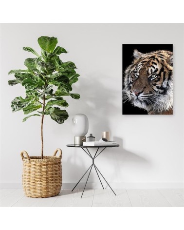 Modernes Wandbild - Tiger auf schwarzem Hintergrund | Feeby