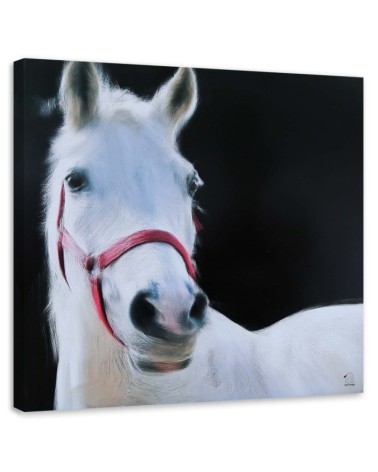 White horse head - Canvas painting for living room | FEEBY