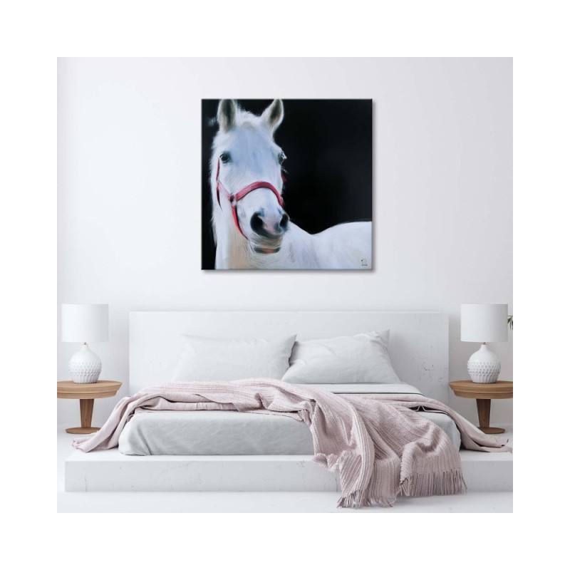 Bild auf Leinwand - Weißer Pferdekopf | Feeby