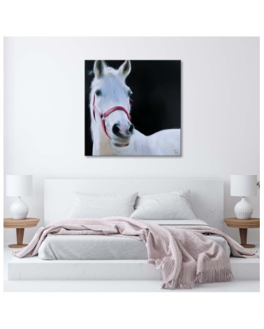 Bild auf Leinwand - Weißer Pferdekopf | Feeby